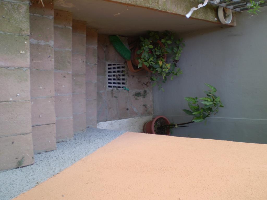 אלברזה Agriturismo Ternova מראה חיצוני תמונה