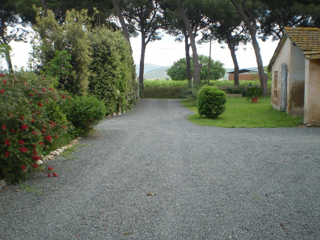 אלברזה Agriturismo Ternova מראה חיצוני תמונה